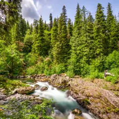 Olympic National Park